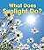 What Does Sunlight Do? (First Step Nonfiction: Let's Watch the Weather)