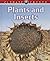 Plants and Insects