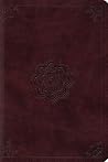 Holy Bible: Engli...