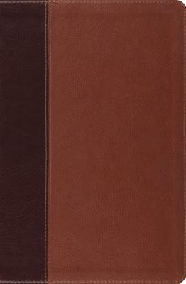 Verse-By-Verse Reference Bible