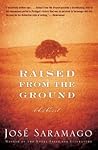 Raised from the Ground