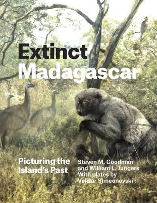 Extinct Madagascar: Picturing the Island's Past (ebook)