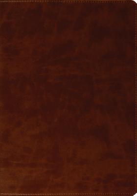 ESV Large Print Bible