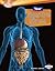 Your Digestive System (Searchlight Books ™ - How Does Your Body Work?)
