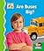 Are Buses Big?
