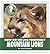 Mountain Lions (Community Connections: How Do We Live Together?)