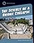 The Science of a Bridge Col...