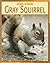 Gray Squirrel (21st Century Skills Library: Animal Invaders)