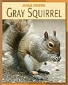 Gray Squirrel (21st Century Skills Library: Animal Invaders)