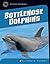 Bottlenose Dolphins (21st C...