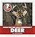 Deer (Community Connections: How Do We Live Together?)