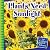 Plants Need Sunlight (21st ...