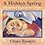 A Hidden Spring by Chava Epstein