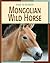 Mongolian Wild Horse Mongolian Wild Horse