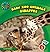 Giraffes (21st Century Basic Skills Library: Level 3: Baby Zoo Animals)