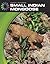 Small Indian Mongoose (21st Century Skills Library: Animal Invaders)