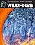 Wildfires (21st Century Skills Library: Real World Math)