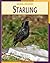 Starling Starling (Animal Invaders)
