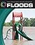 Floods (21st Century Skills Library: Real World Math)