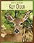 Key Deer (21st Century Skills Library: Road to Recovery)