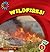 Wildfires! (21st Century Basic Skills Library: Level 2: Natural Disasters)