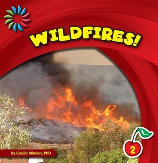 Wildfires! (21st Century Basic Skills Library: Level 2: Natural Disasters)