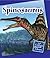 Spinosaurus (21st Century J...