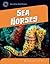 Sea Horses (21st Century Skills Library: Exploring Our Oceans)
