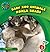 Koala Bears (21st Century Basic Skills Library: Level 3: Baby Zoo Animals)