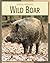 Wild Boar (21st Century Skills Library: Animal Invaders)