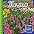 Flowers (21st Century Junior Library: Plants)