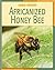 Africanized Honey Bee (21st Century Skills Library: Animal Invaders)