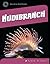 Nudibranch (21st Century Skills Library: Exploring Our Oceans)