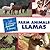 Farm Animals: Llama