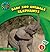 Elephants (21st Century Basic Skills Library: Level 3: Baby Zoo Animals)