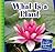 What Is a Plant? (21st Century Junior Library: Plants)