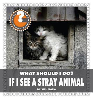 What Should I Do? If I See a Stray Animal (Community Connections: What Should I Do?)