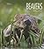 Beavers (Living Wild)