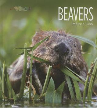 Beavers (Living Wild)