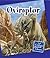Oviraptor (21st Century Jun...