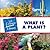 What is a Plant? (21st Century Junior Library: Plants)