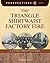 The Triangle Shirtwaist Factory Fire: A History Perspectives Book (Perspectives Library)