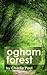 Ogham Forest