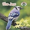 Blue Jays (Backyard Safari