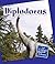 Diplodocus (21st Century Junior Library: Dinosaurs and Prehistoric Creatures)