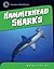 Hammerhead Sharks (21st Century Skills Library: Exploring Our Oceans)