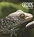 Geckos