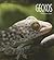 Geckos (Living Wild)