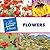 Flowers (21st Century Junior Library: Plants)