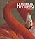 Flamingos
